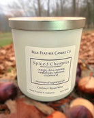 Blue Feather Candle-Candles-Podos Boutique, a Women's Fashion Boutique Located in Calera, AL